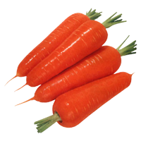 Beta-Carotene - Carrots