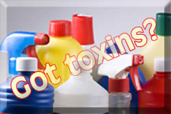 Toxic Household Cleaners