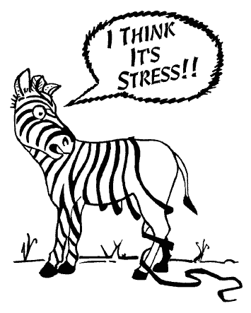 Stress impacting food cravings stress zebrastripes